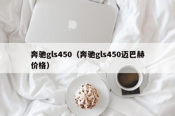 奔驰gls450（奔驰gls450迈巴赫价格）-图1