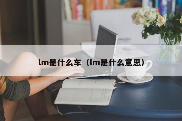 lm是什么车（lm是什么意思）-图1