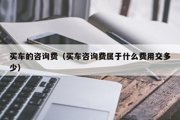 买车的咨询费（买车咨询费属于什么费用交多少）-图1