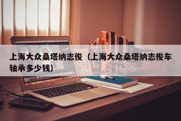 上海大众桑塔纳志俊（上海大众桑塔纳志俊车轴承多少钱）-图1