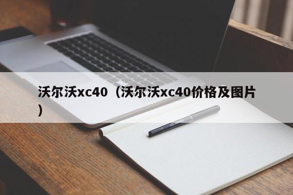 沃尔沃xc40（沃尔沃xc40价格及图片）-图1