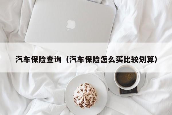 汽车保险查询（汽车保险怎么买比较划算）-图1