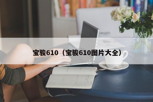 宝骏610（宝骏610图片大全）-图1