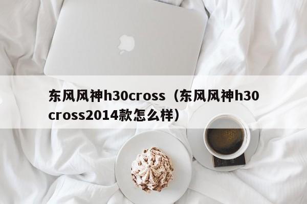 东风风神h30cross（东风风神h30cross2014款怎么样）-图1