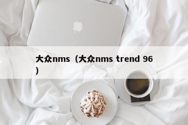 大众nms（大众nms trend 96）-图1