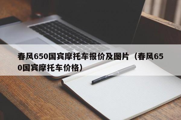 春风650国宾摩托车报价及图片（春风650国宾摩托车价格）-图1