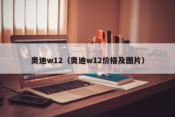 奥迪w12（奥迪w12价格及图片）-图1