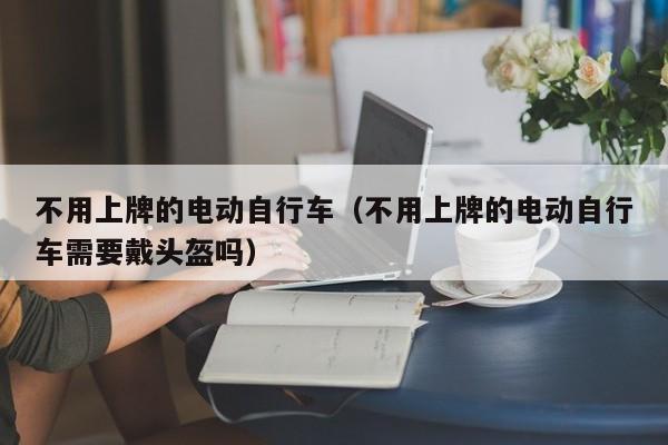 不用上牌的电动自行车（不用上牌的电动自行车需要戴头盔吗）-图1