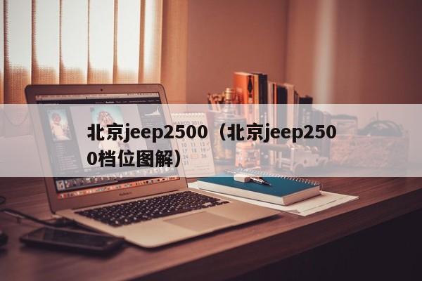 北京jeep2500（北京jeep2500档位图解）-图1