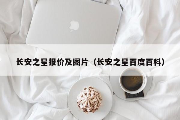 长安之星报价及图片（长安之星百度百科）-图1