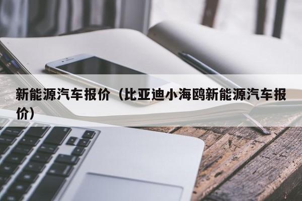 新能源汽车报价（比亚迪小海鸥新能源汽车报价）-图1