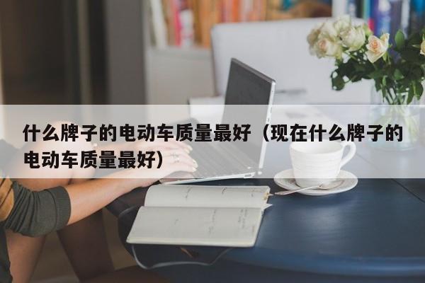 什么牌子的电动车质量最好（现在什么牌子的电动车质量最好）-图1