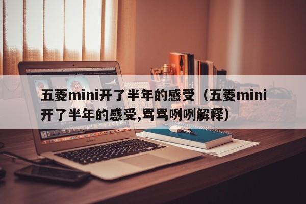 五菱mini开了半年的感受（五菱mini开了半年的感受,骂骂咧咧解释）-图1