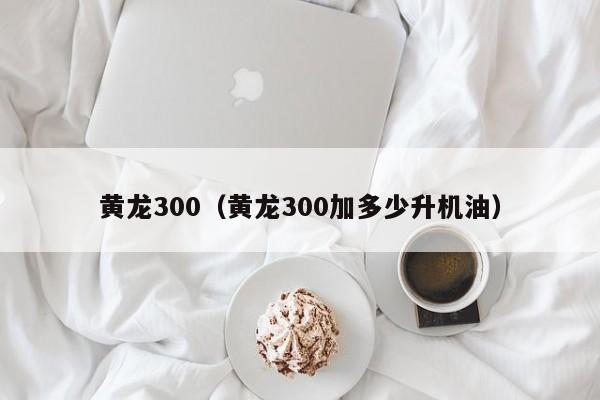 黄龙300（黄龙300加多少升机油）-图1