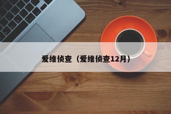 爱维侦查（爱维侦查12月）-图1