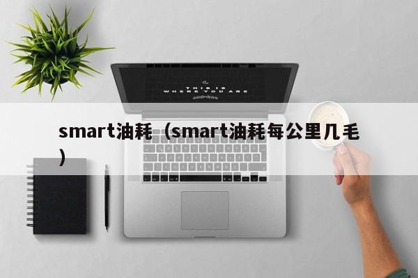 smart油耗（smart油耗每公里几毛）-图1