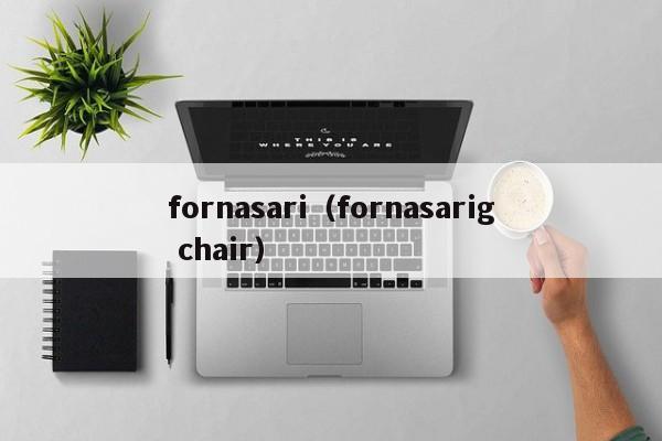 fornasari（fornasarig chair）-图1