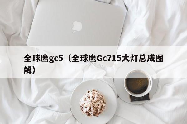 全球鹰gc5（全球鹰Gc715大灯总成图解）-图1