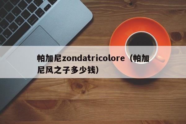 帕加尼zondatricolore（帕加尼风之子多少钱）-图1