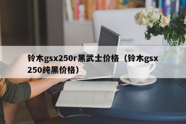 铃木gsx250r黑武士价格（铃木gsx250纯黑价格）-图1