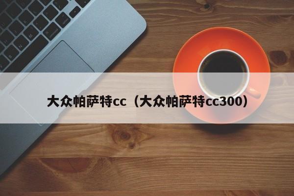 大众帕萨特cc（大众帕萨特cc300）-图1