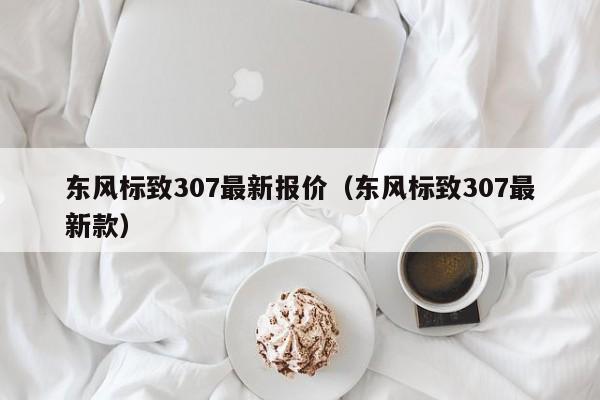 东风标致307最新报价（东风标致307最新款）-图1