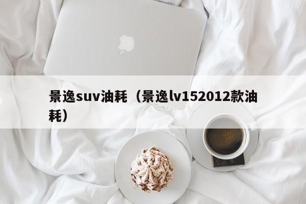 景逸suv油耗（景逸lv152012款油耗）-图1