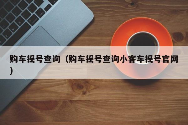 购车摇号查询（购车摇号查询小客车摇号官网）-图1