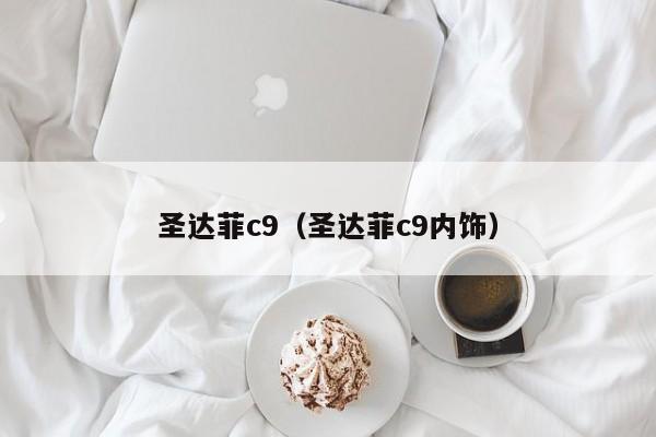 圣达菲c9（圣达菲c9内饰）-图1