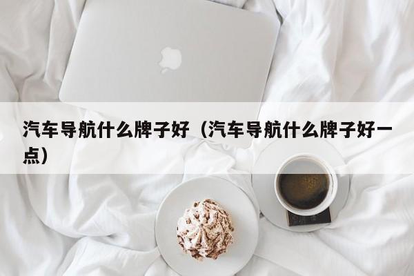 汽车导航什么牌子好（汽车导航什么牌子好一点）-图1