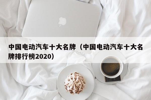 中国电动汽车十大名牌（中国电动汽车十大名牌排行榜2020）-图1