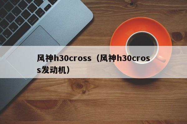 风神h30cross（风神h30cross发动机）-图1