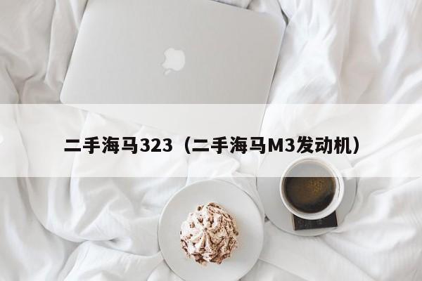 二手海马323（二手海马M3发动机）-图1