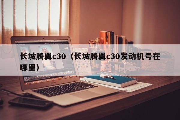 长城腾翼c30（长城腾翼c30发动机号在哪里）-图1