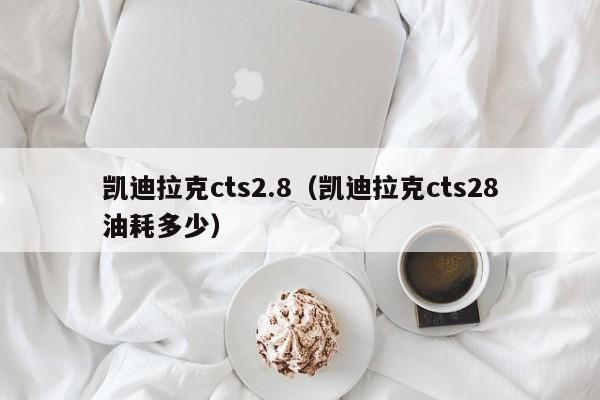 凯迪拉克cts2.8（凯迪拉克cts28油耗多少）-图1