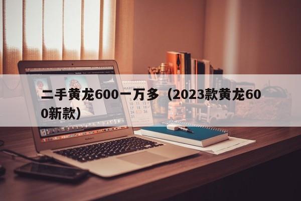 二手黄龙600一万多（2023款黄龙600新款）-图1