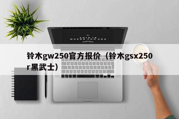 铃木gw250官方报价（铃木gsx250r黑武士）-图1