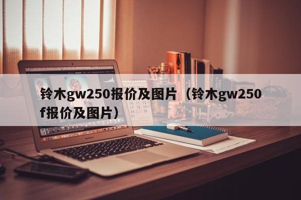 铃木gw250报价及图片（铃木gw250f报价及图片）-图1