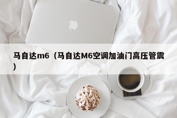 马自达m6（马自达M6空调加油门高压管震）-图1