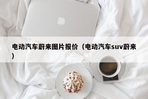 电动汽车蔚来图片报价（电动汽车suv蔚来）-图1