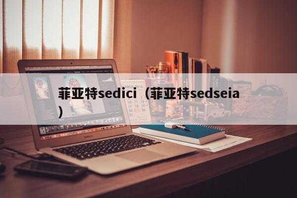 菲亚特sedici（菲亚特sedseia）-图1