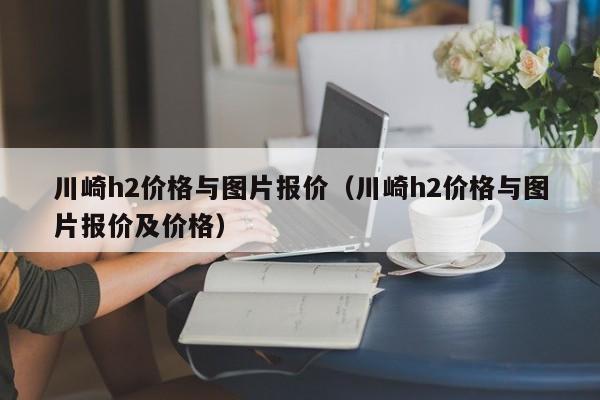 川崎h2价格与图片报价（川崎h2价格与图片报价及价格）-图1