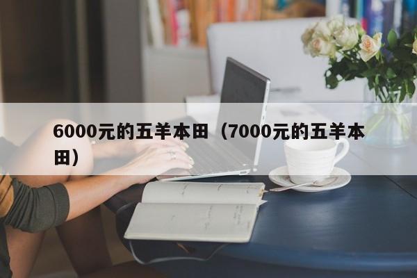 6000元的五羊本田（7000元的五羊本田）-图1