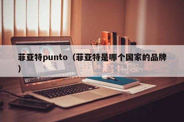 菲亚特punto（菲亚特是哪个国家的品牌）-图1