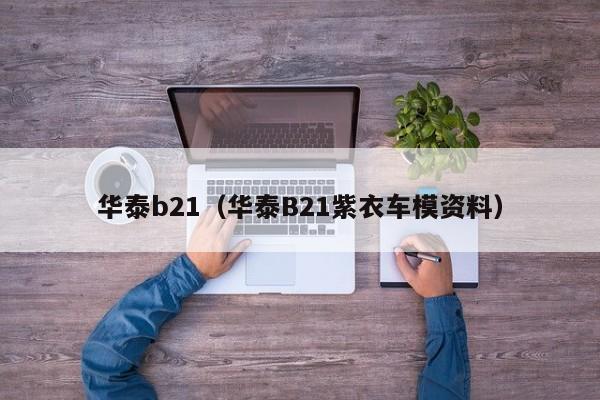 华泰b21（华泰B21紫衣车模资料）-图1