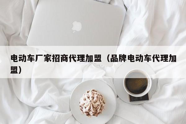 电动车厂家招商代理加盟（品牌电动车代理加盟）-图1