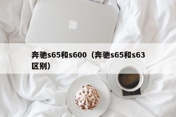 奔驰s65和s600（奔驰s65和s63区别）-图1