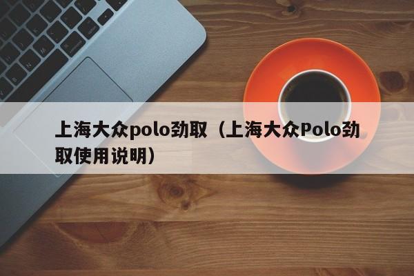 上海大众polo劲取（上海大众Polo劲取使用说明）-图1