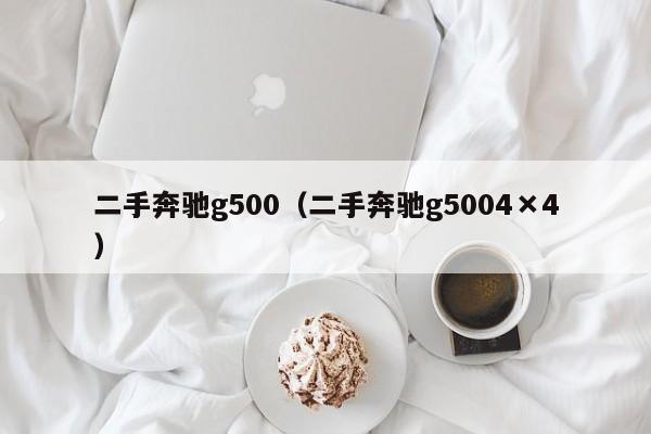 二手奔驰g500（二手奔驰g5004×4）-图1