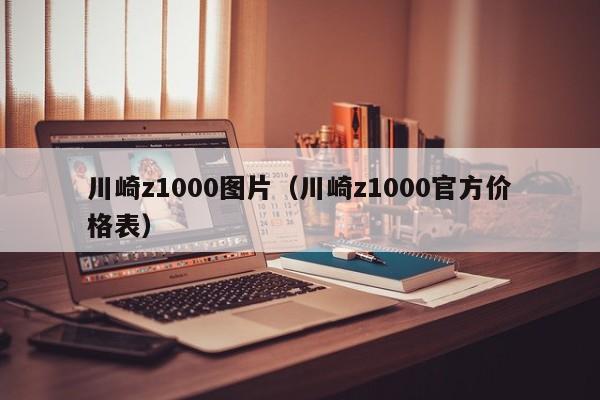 川崎z1000图片（川崎z1000官方价格表）-图1